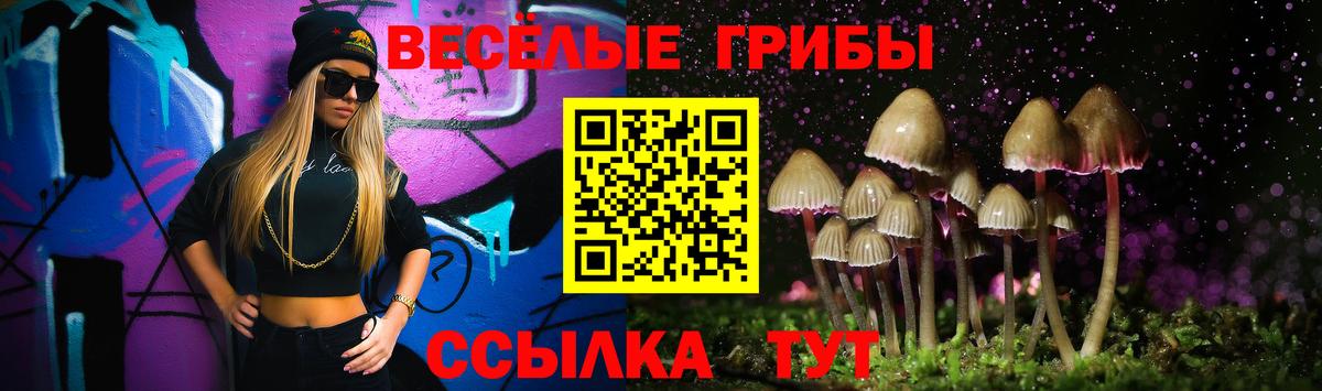 Армавир  Псилоцибиновые грибы Magic Shrooms  Псилоцибиновые грибы прущие грибы  Вход с VPN 
